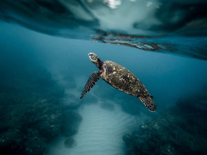 3 Reasons To Give Up Plastic Straws